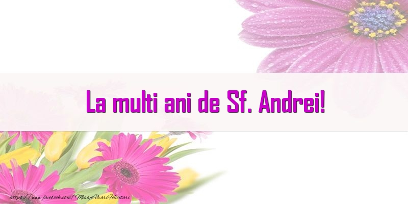 Felicitari de Sfantul Andrei - La multi ani de Sf. Andrei! - mesajeurarifelicitari.com