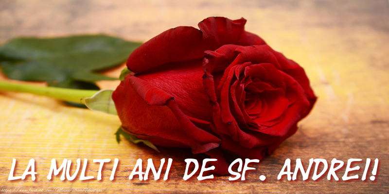 La multi ani de Sf. Andrei!