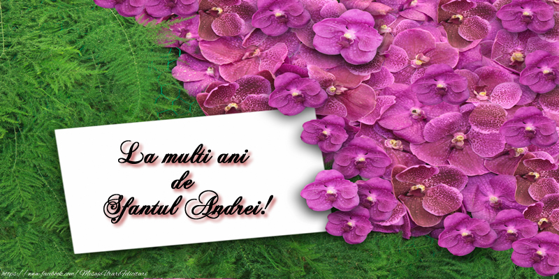 La multi ani de Sfantul Andrei!