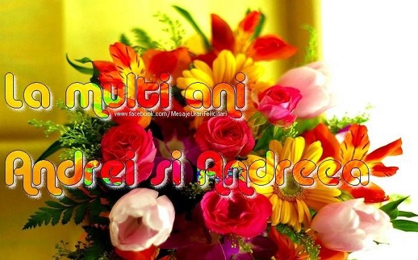 La multi ani Andrei si Andreea