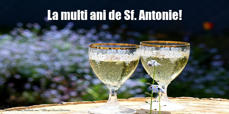 La multi ani de Sf. Antonie!