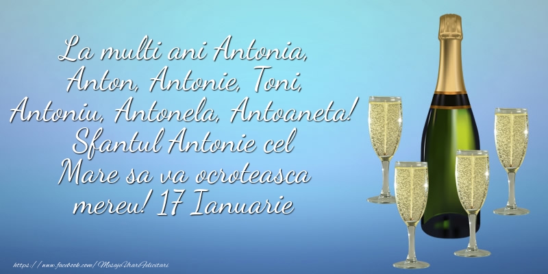 Sfantul Antonie cel Mare sa va ocroteasca mereu! 17 Ianuarie