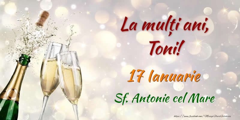 Felicitari de Sfantul Antonie cel Mare - La multi ani, Toni! 17 Ianuarie Sf. Antonie cel Mare - mesajeurarifelicitari.com