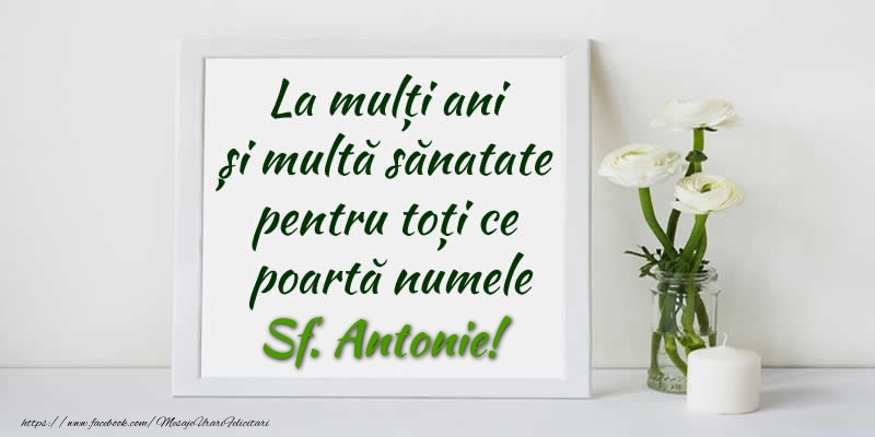 La multi ani  si multa sanatate pentru toti ce poarta numele Sf. Antonie!