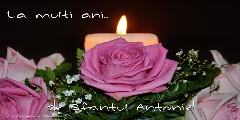 Felicitari de Sfantul Antonie cel Mare - La multi ani... de Sfantul Antonie! - mesajeurarifelicitari.com