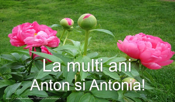 La multi ani Anton si Antonia!