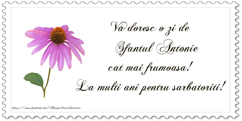 Va doresc o zi de Sfantul Antonie cat mai frumoasa! La multi ani pentru sarbatoriti!