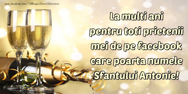 La multi ani pentru toti prietenii mei de pe facebook care poarta numele Sfantului Antonie!