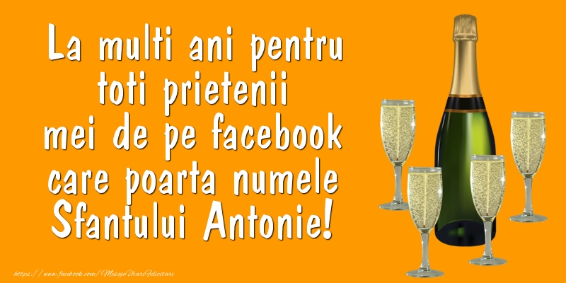 Felicitari de Sfantul Antonie cel Mare - La multi ani pentru toti prietenii mei de pe facebook care poarta numele Sfantului Antonie! - mesajeurarifelicitari.com