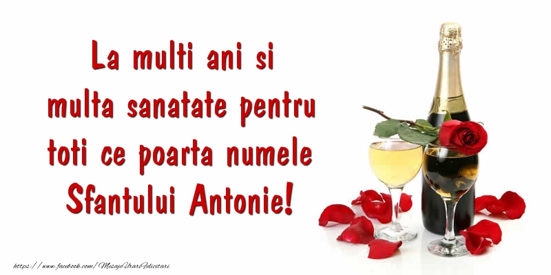 Felicitari de Sfantul Antonie cel Mare - La multi ani si multa sanatate pentru toti ce poarta numele Sfantului Antonie! - mesajeurarifelicitari.com