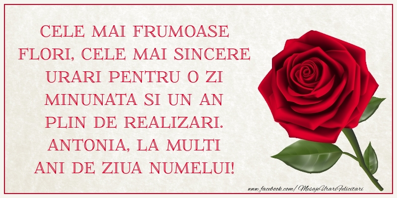 Antonia, La multi ani de ziua numelui!