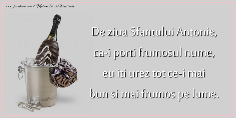 De ziua Sfantului Antonie