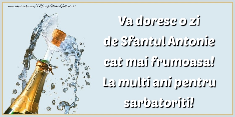 Va doresc o zi de Sfantul Antonie cat mai frumoasa!