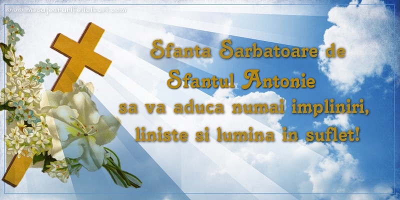 Felicitari de Sfantul Antonie cel Mare - Sfanta Sarbatoare de Sfantul Antonie sa va aduca numai impliniri, liniste si lumina in suflet! - mesajeurarifelicitari.com