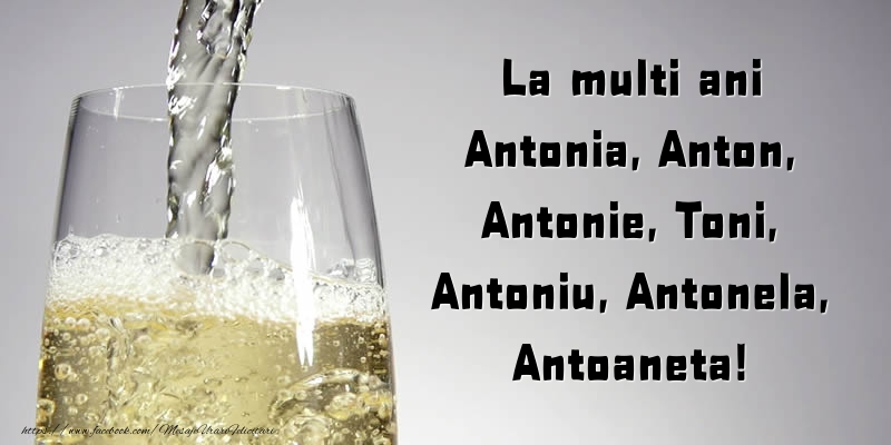 Felicitari de Sfantul Antonie cel Mare - La multi ani Antonia, Anton, Antonie, Toni, Antoniu, Antonela, Antoaneta! - mesajeurarifelicitari.com