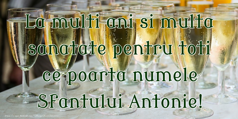 La multi ani si multa sanatate pentru toti ce poarta numele Sfantului Antonie!
