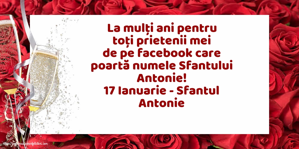 17 Ianuarie - 17 Ianuarie - Sfantul Antonie