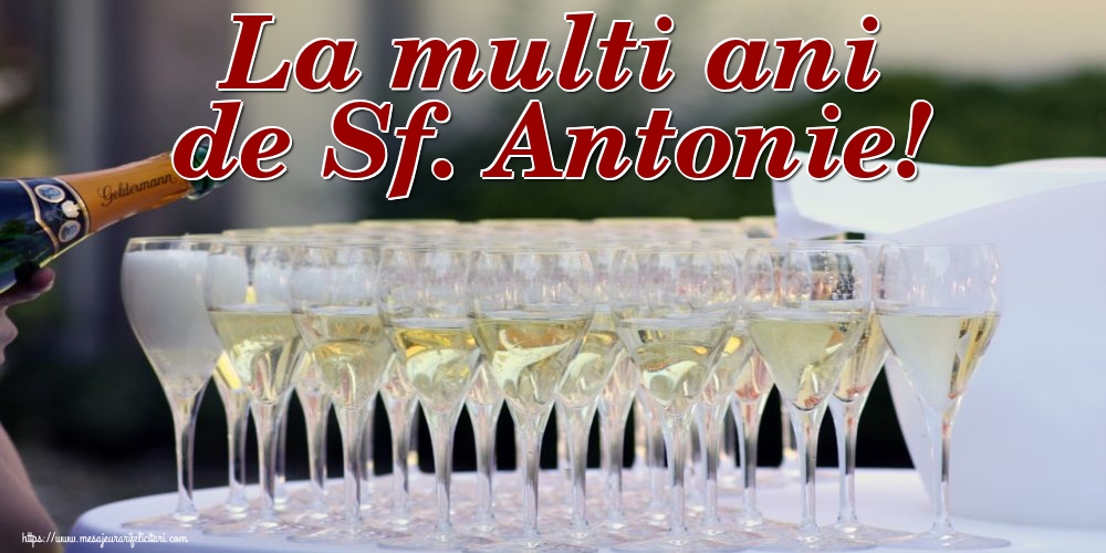 Sfantul Antonie cel Mare La multi ani de Sf. Antonie!