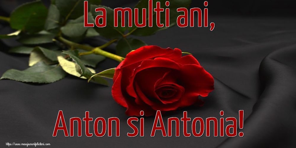 Sfantul Antonie cel Mare La multi ani, Anton si Antonia!