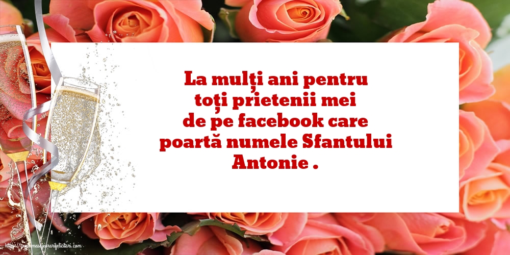 Sfantul Antonie cel Mare La mulți ani pentru toți prietenii mei de pe facebook