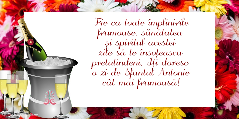 Sfantul Antonie cel Mare Iți doresc o zi de Sfantul Antonie cât mai frumoasă!