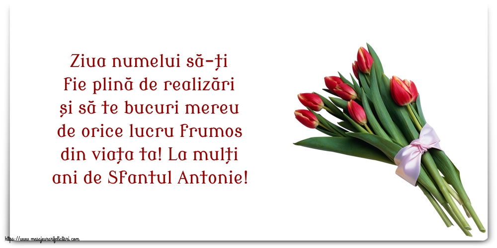 Felicitari de Sfantul Antonie cel Mare - La mulți ani de Sfantul Antonie! - mesajeurarifelicitari.com