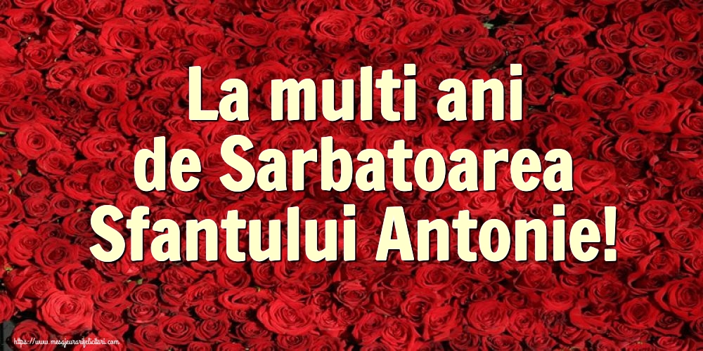 Felicitari de Sfantul Antonie cel Mare - La multi ani de Sarbatoarea Sfantului Antonie! - mesajeurarifelicitari.com