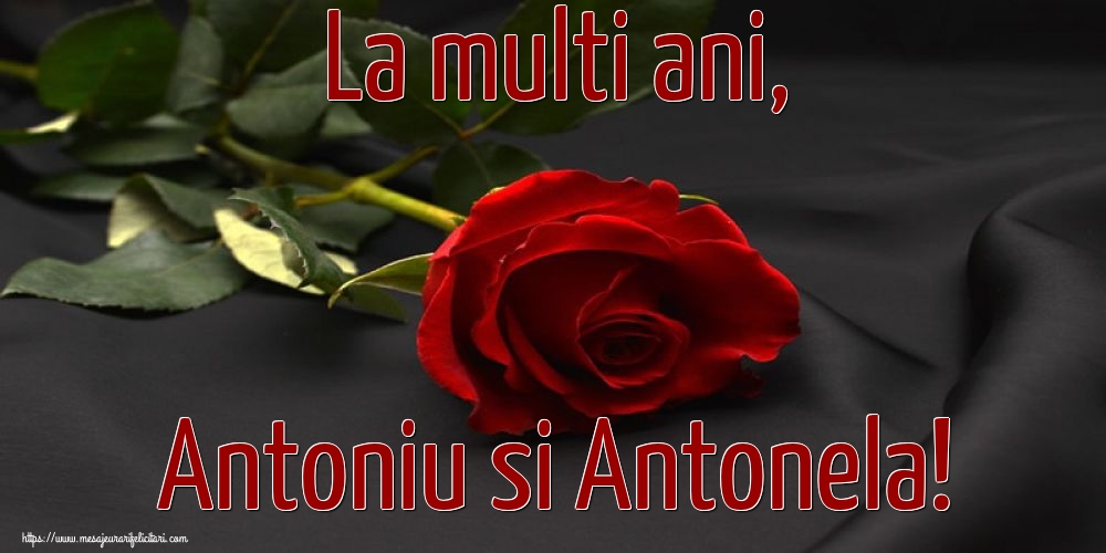 La multi ani, Antoniu si Antonela!