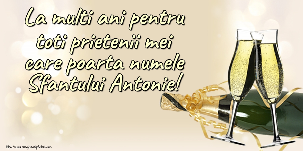 Felicitari de Sfantul Antonie cel Mare - La multi ani pentru toti prietenii mei care poarta numele Sfantului Antonie! - mesajeurarifelicitari.com