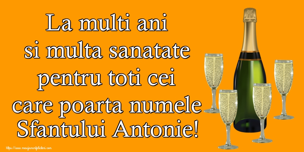 Sfantul Antonie cel Mare La multi ani si multa sanatate pentru toti cei care poarta numele Sfantului Antonie!