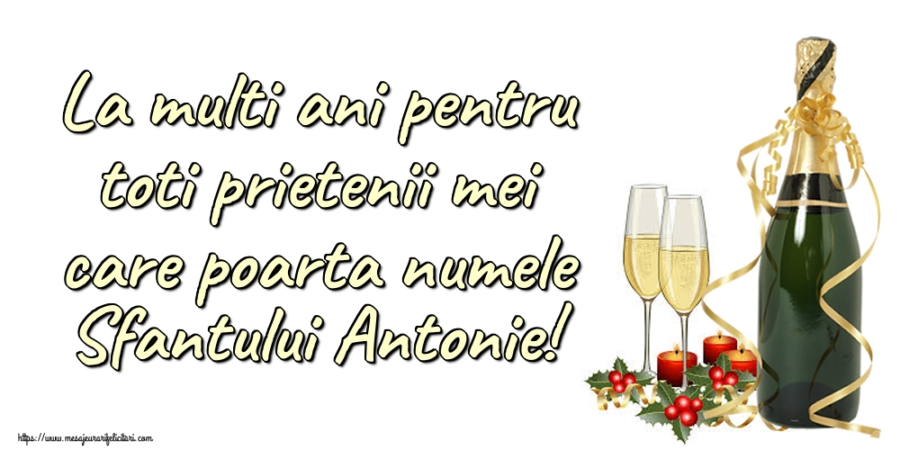 Sfantul Antonie cel Mare La multi ani pentru toti prietenii mei care poarta numele Sfantului Antonie!