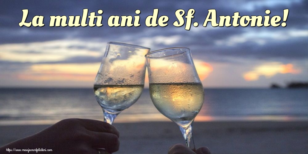 La multi ani de Sf. Antonie!