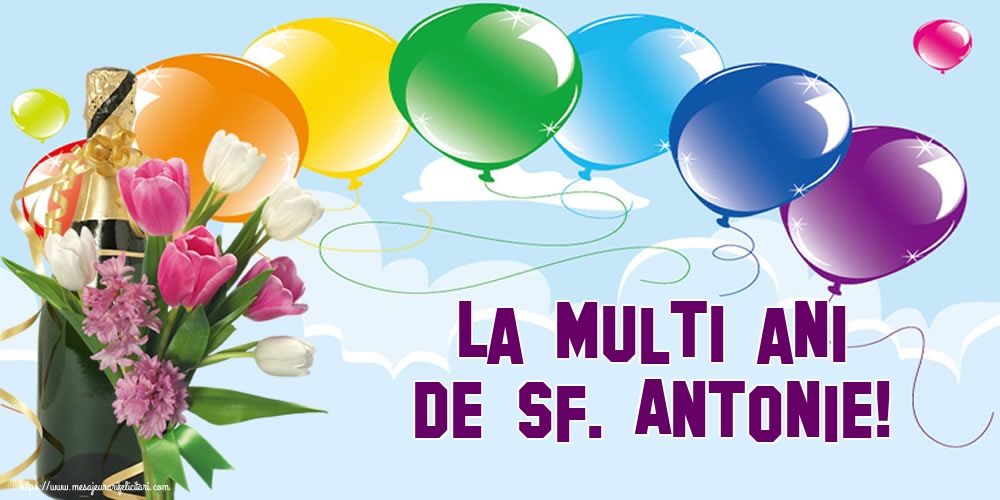 La multi ani de Sf. Antonie!