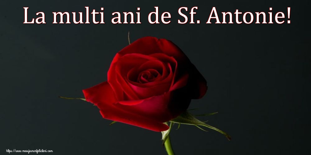 Sfantul Antonie cel Mare La multi ani de Sf. Antonie!