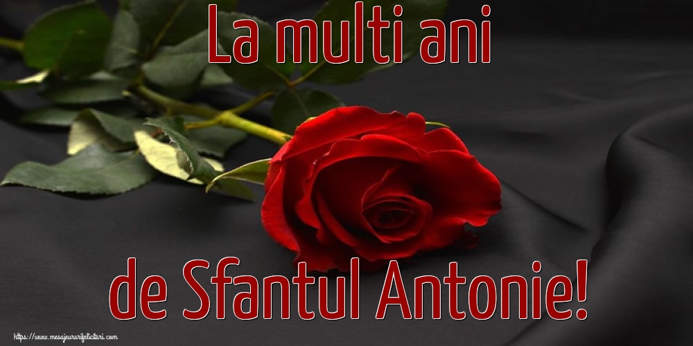 La multi ani de Sfantul Antonie!