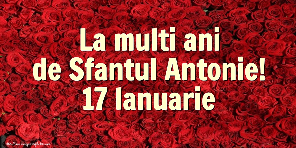 Felicitari de Sfantul Antonie cel Mare - La multi ani de Sfantul Antonie! 17 Ianuarie - mesajeurarifelicitari.com