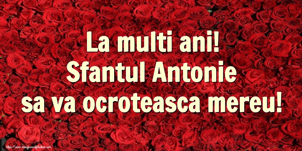 Felicitari de Sfantul Antonie cel Mare - La multi ani! Sfantul Antonie sa va ocroteasca mereu! - mesajeurarifelicitari.com