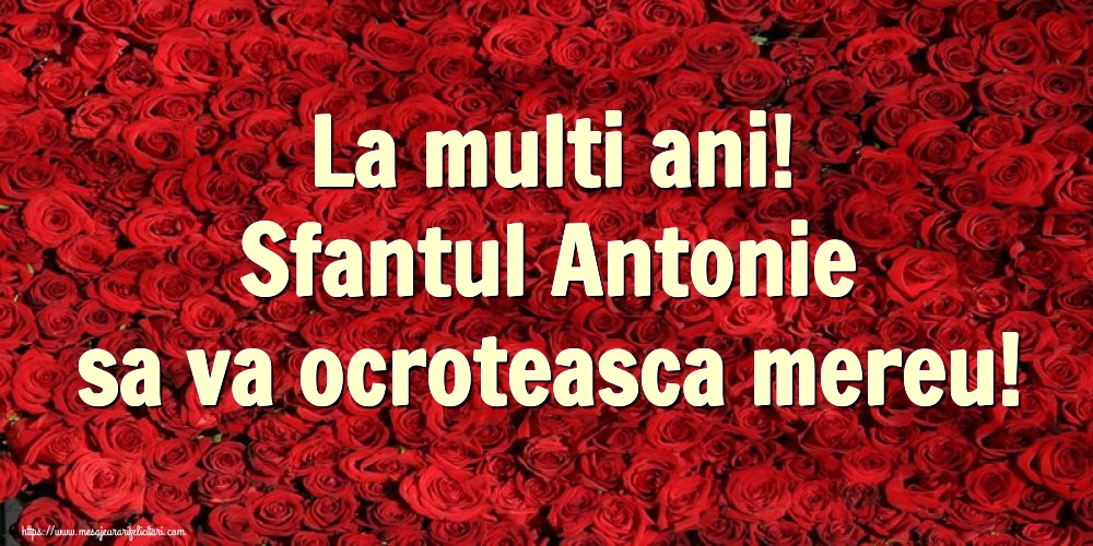 Sfantul Antonie cel Mare La multi ani! Sfantul Antonie sa va ocroteasca mereu!