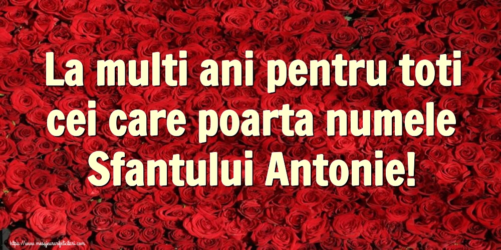 La multi ani pentru toti cei care poarta numele Sfantului Antonie!