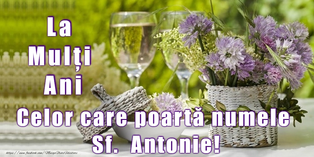 Felicitari de Sfantul Antonie cel Mare - 17 Ianuarie - Sfântul Antonie cel Mare - mesajeurarifelicitari.com