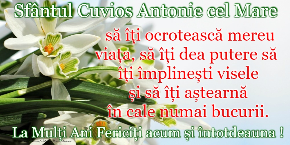 Felicitari de Sfantul Antonie cel Mare - 17 Ianuarie - Sfântul Antonie cel Mare - mesajeurarifelicitari.com