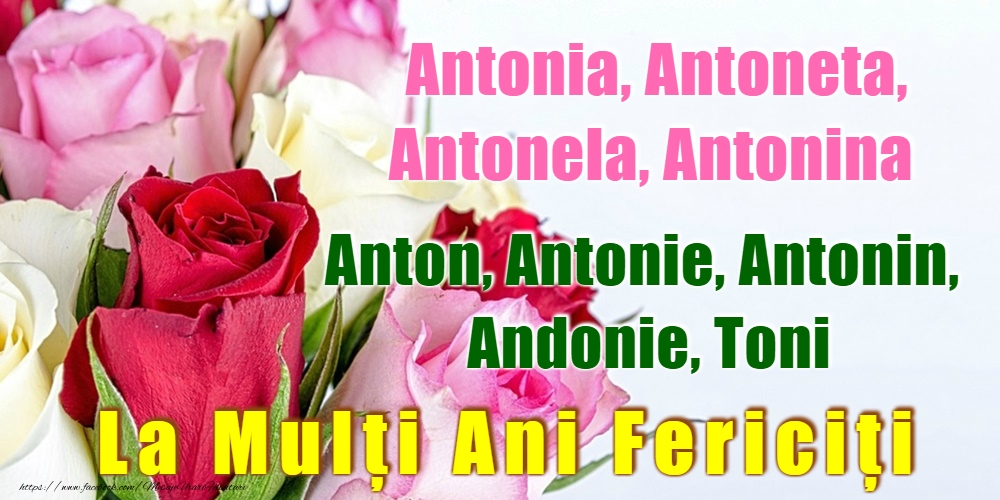 Felicitari de Sfantul Antonie cel Mare - 17 Ianuarie - Sfântul Antonie cel Mare - mesajeurarifelicitari.com