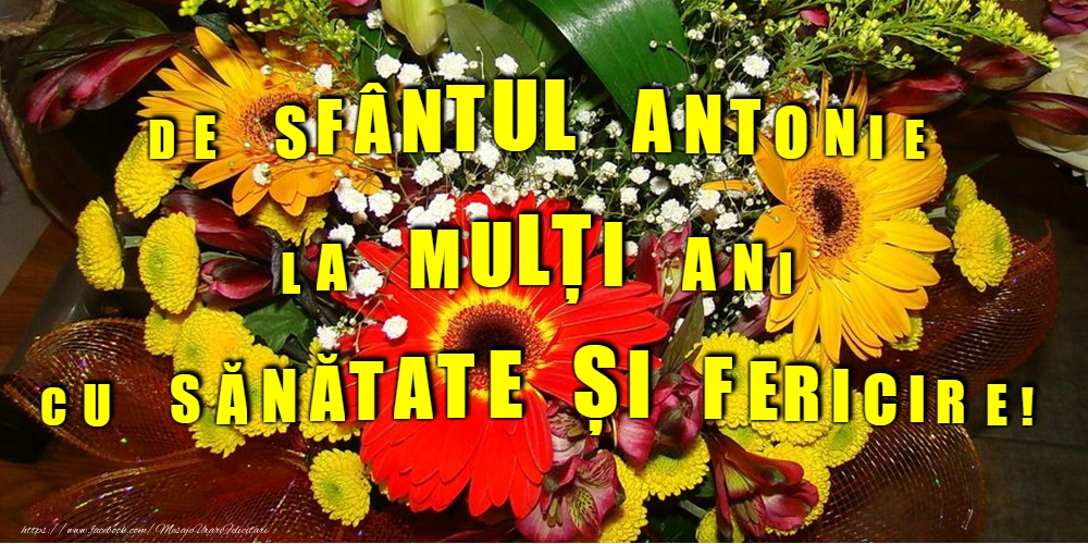 17 Ianuarie - Sfântul Antonie cel Mare