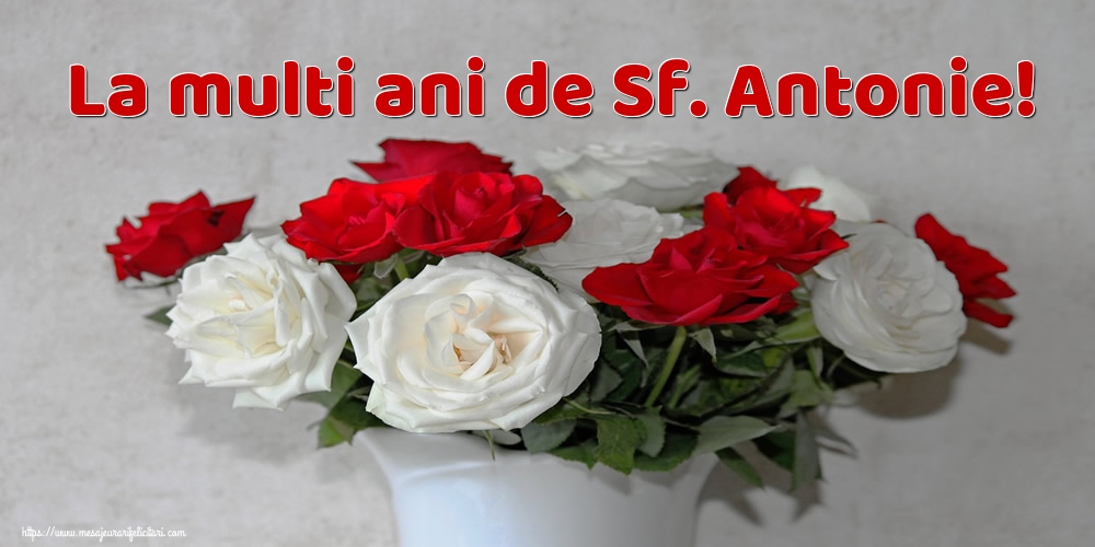 La multi ani de Sf. Antonie!