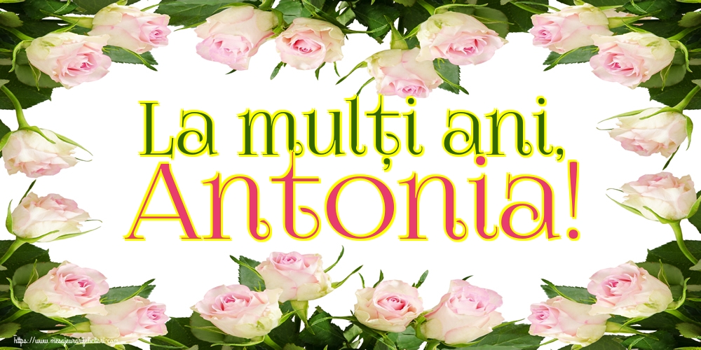 Felicitari de Sfantul Antonie cel Mare - La mulți ani, Antonia! - mesajeurarifelicitari.com