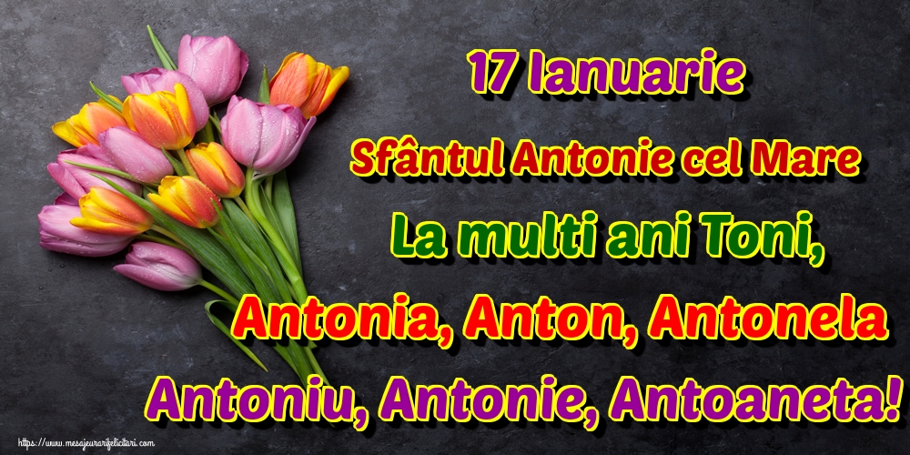 17 Ianuarie Sfântul Antonie cel Mare La multi ani Toni, Antonia, Anton, Antonela Antoniu, Antonie, Antoaneta!