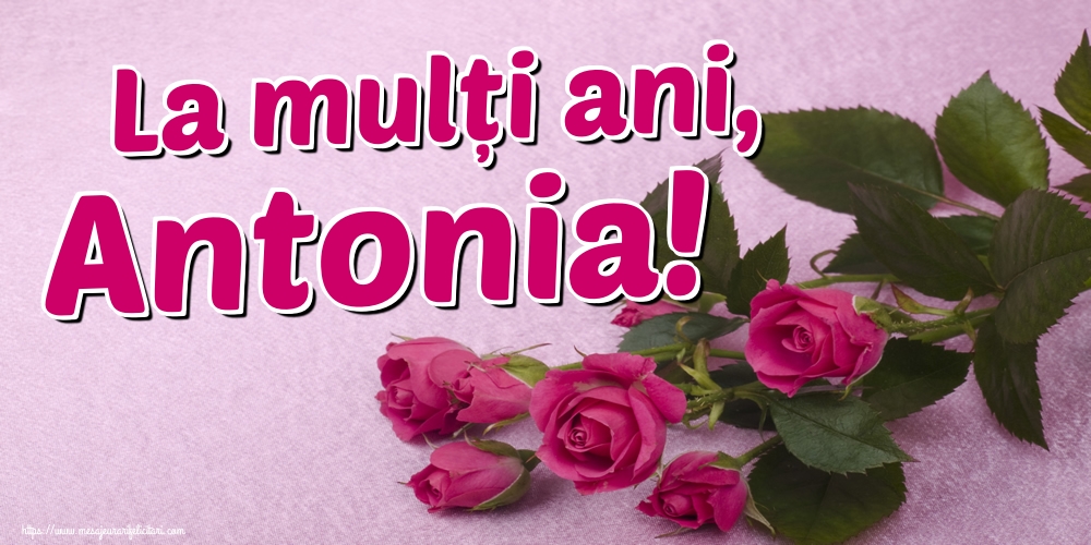 La mulți ani, Antonia!