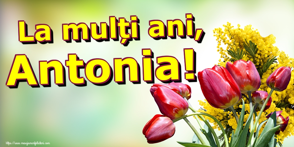 La mulți ani, Antonia!