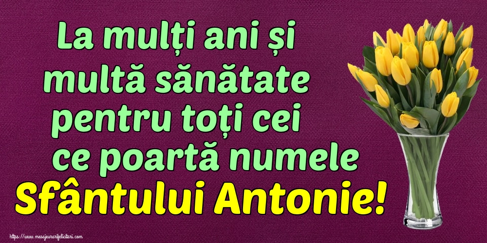 La mulți ani și multă sănătate pentru toți cei ce poartă numele Sfântului Antonie!
