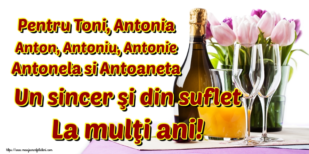 Pentru Toni, Antonia Anton, Antoniu, Antonie Antonela si Antoaneta Un sincer şi din suflet La mulţi ani!
